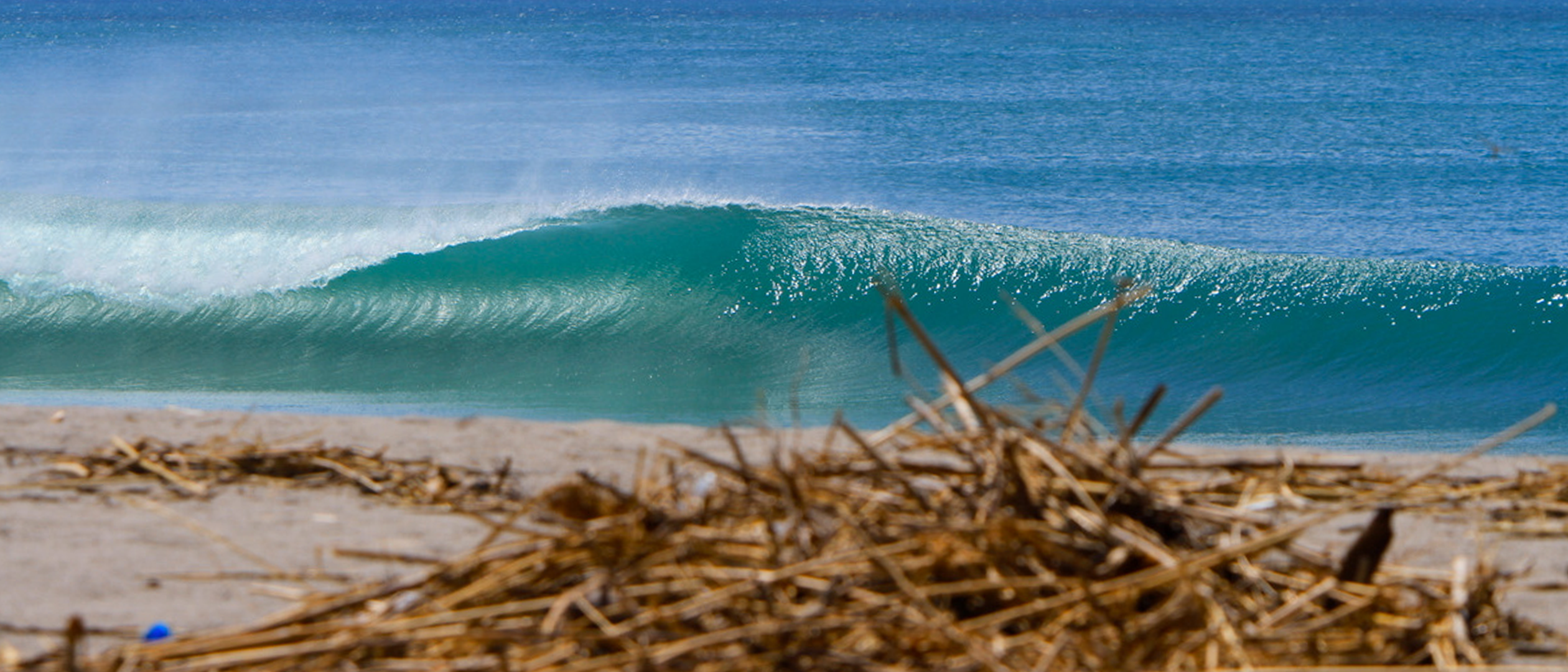 SURF CAMP — 3